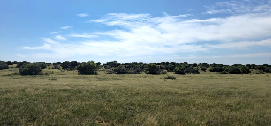 Commercial Property for Sale in Mangaung Free State